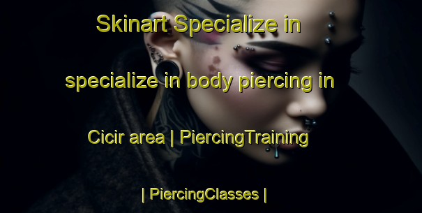 Skinart Specialize in specialize in body piercing in Cicir area | PiercingTraining | PiercingClasses | SkinartTraining-Romania